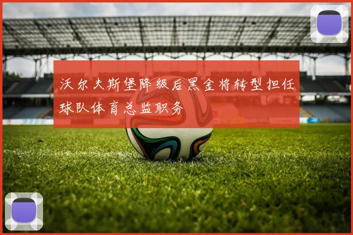 沃尔夫斯堡降级后黑金将转型担任球队体育总监职务