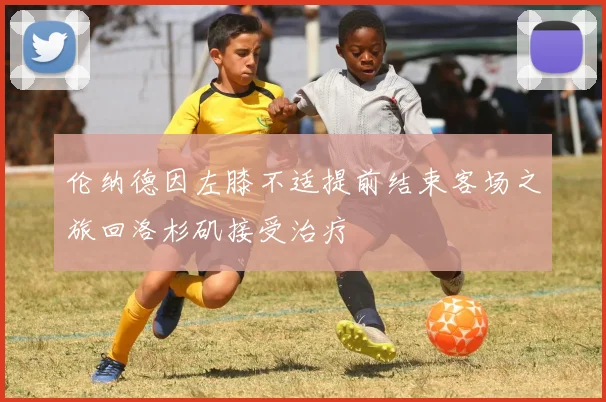 伦纳德因左膝不适提前结束客场之旅回洛杉矶接受治疗