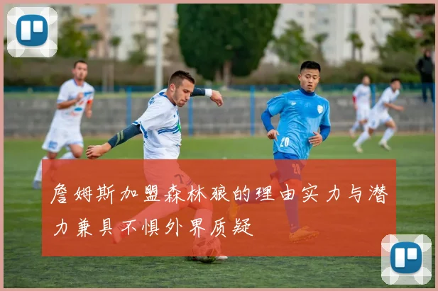 詹姆斯加盟森林狼的理由实力与潜力兼具不惧外界质疑